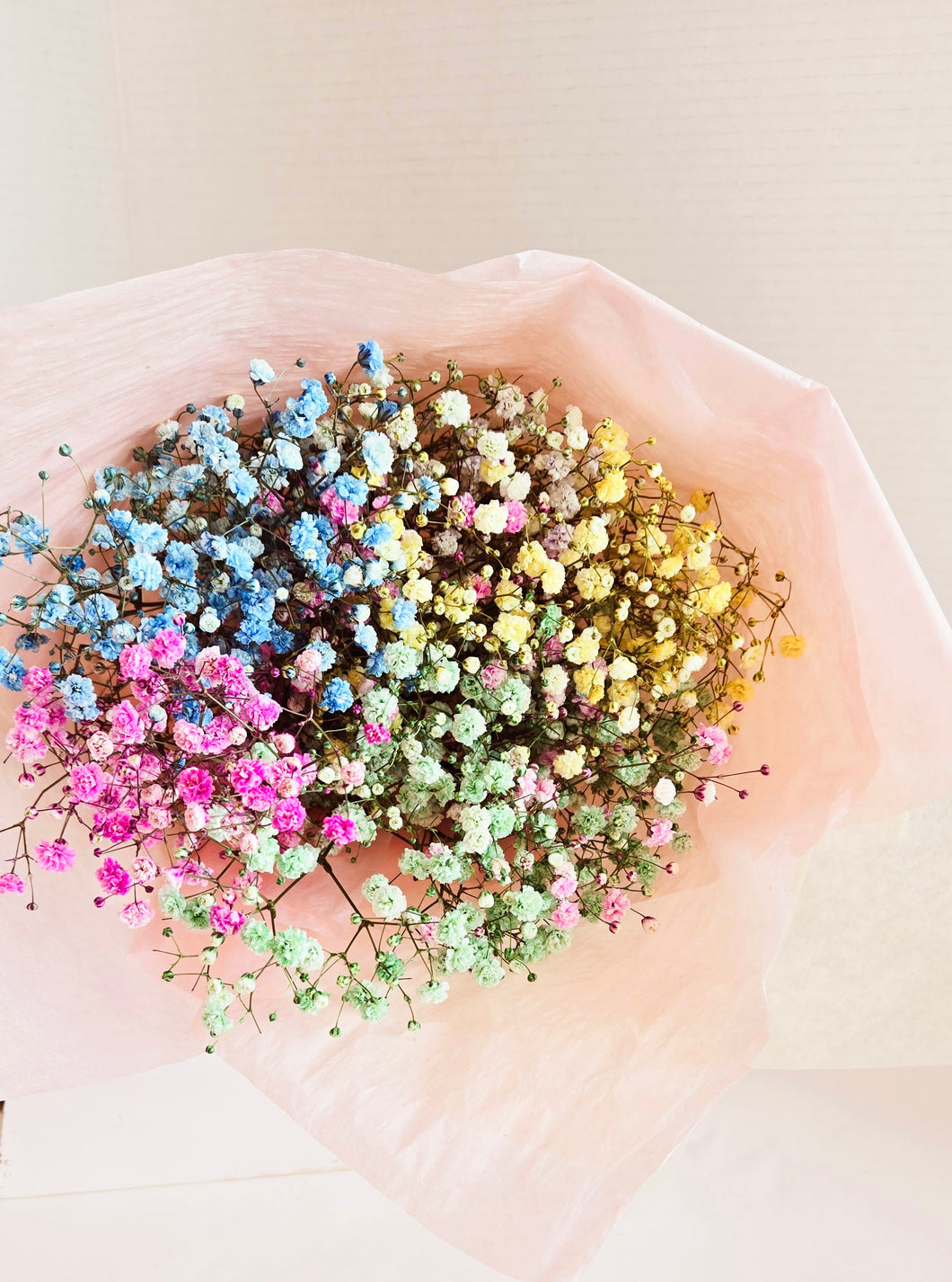 Rainbow Mix of Baby's Breath