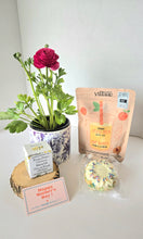 Load image into Gallery viewer, Mother's Day Package #2
