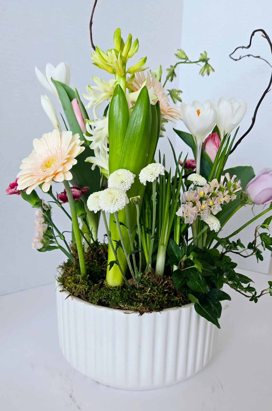 Tabletop Flower Garden