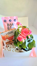Load image into Gallery viewer, Cocktails and Candy (with a side of blooms)

