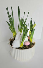 Load image into Gallery viewer, Sleepy Bunny
