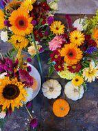 Small Pumpkin Arrangement